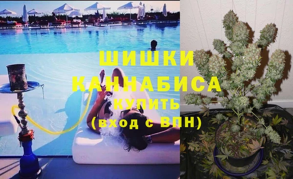 прущие грибы Балахна