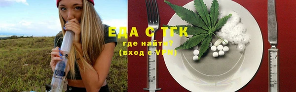 индика Баксан