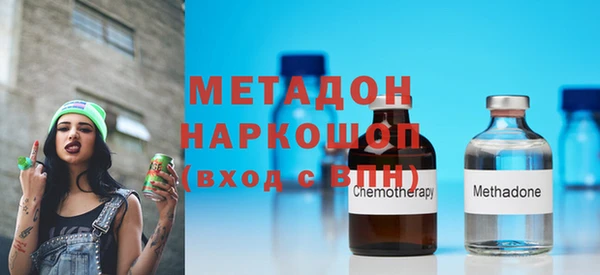 прущие грибы Балахна