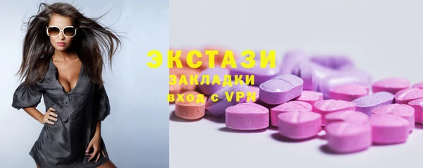 индика Баксан