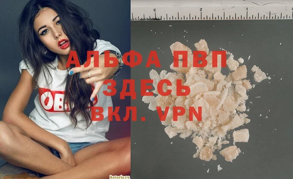 прущие грибы Балахна