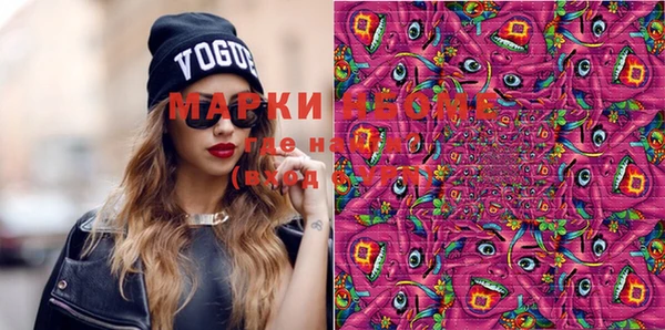 индика Баксан
