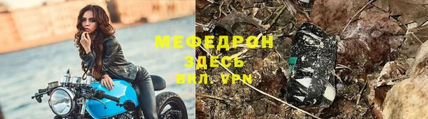 прущие грибы Балахна