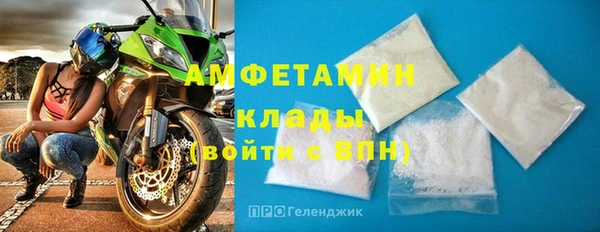 прущие грибы Балахна