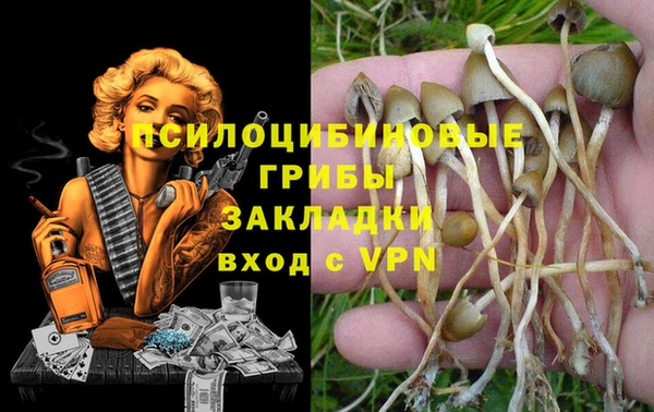 PSILOCYBIN Балабаново