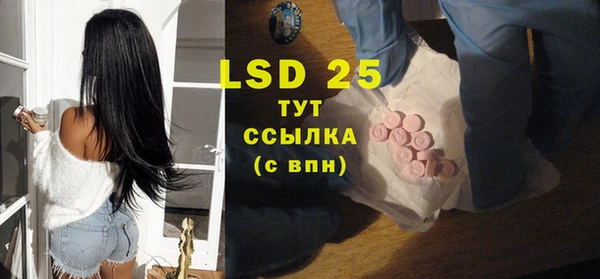 индика Баксан