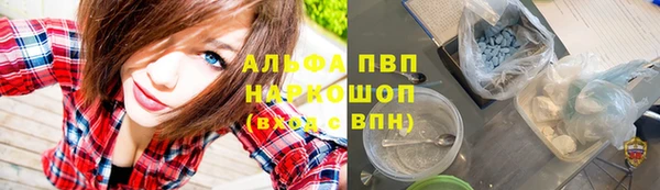 прущие грибы Балахна