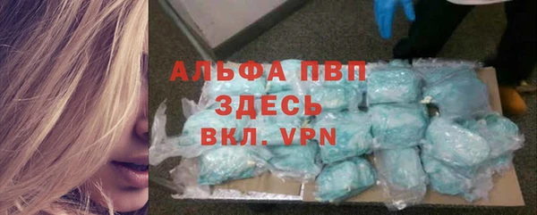 прущие грибы Балахна