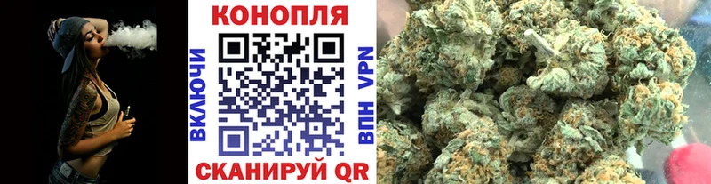 Марихуана семена  Грайворон 